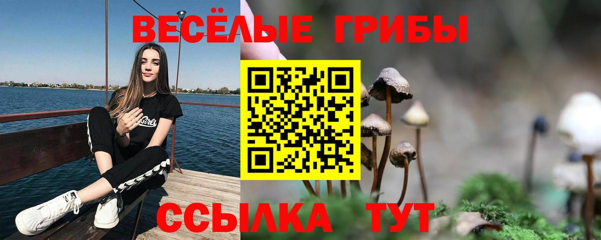 Псилоцибиновые грибы Magic Shrooms Гудермес