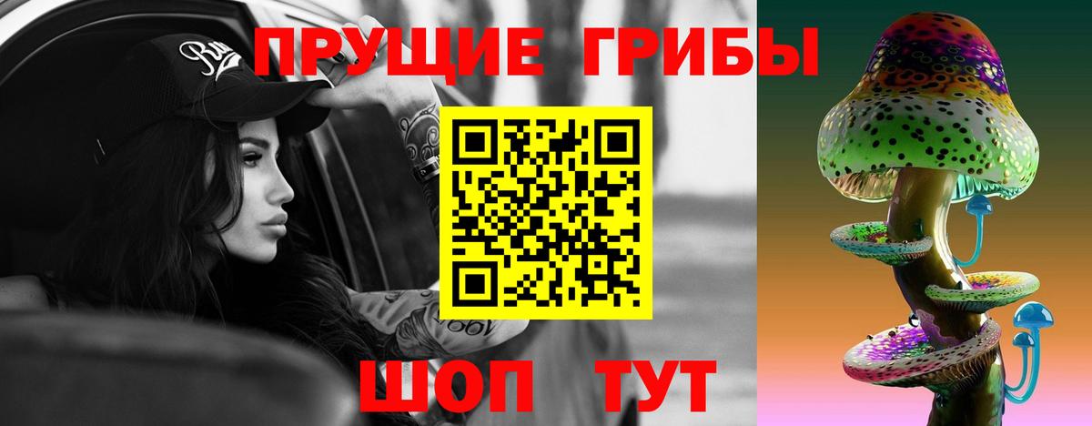 Галлюциногенные грибы GOLDEN TEACHER  Вход с VPN  Гудермес 